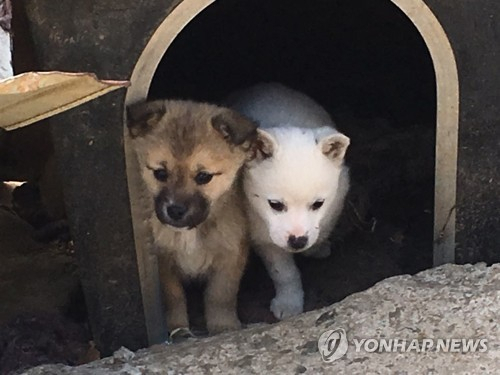 사진은 기사 본문과 직접 관련이 없습니다. [연합뉴스 자료사진]