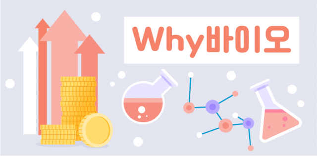 기후변화로 뎅기열 확산…발 빠르게 진단키트 개발한 회사, 어디?[Why 바이오]