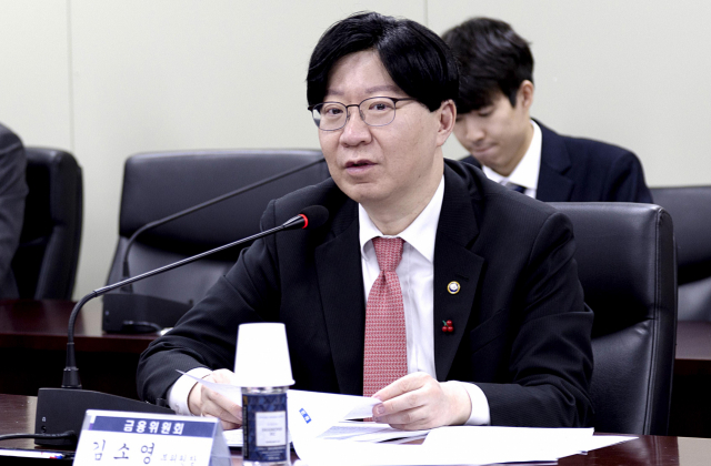 김소영 금융위 부위원장 '스테이블코인도 별도 규율체계 마련'