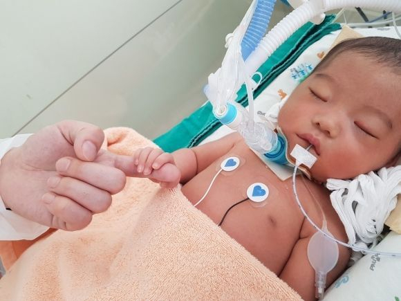 정아영양이 부산 동래구의 한 병원 산부인과 신생아실 간호사의 학대로 뇌사 상태에 빠진 뒤 장기 기증으로 4명에게 새 삶을 선물했다. 사진 제공=한국장기조직기증원