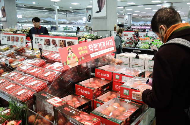 서울 중구 롯데마트 서울역점에서 시민들이 사과 판매대에서 사과를 고르고 있다. 연합뉴스