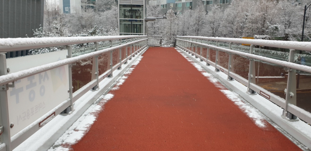 성동구 보행육교에 도로열선이 설치된 모습으로 폭설이 내리며 자동으로 작동한다. 사진 제공=성동구