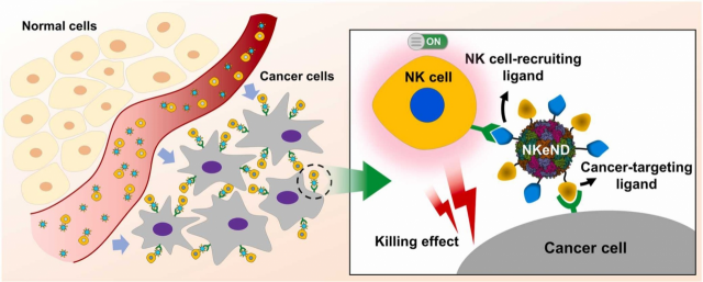 암세포 특이적 NK 세포 전달 나노드론. 유니스트