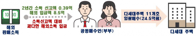 부동산 취득을 위한 해외자금 불법반입 의심 사례. 자료 제공-국토부