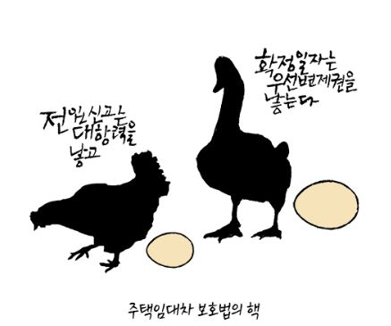 '23년간 카툰 경매 연재…인생 2막은 만평 미술관장으로'[이사람]