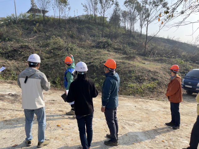 산불피해지 등 긴급벌채 대상지 축소 운영