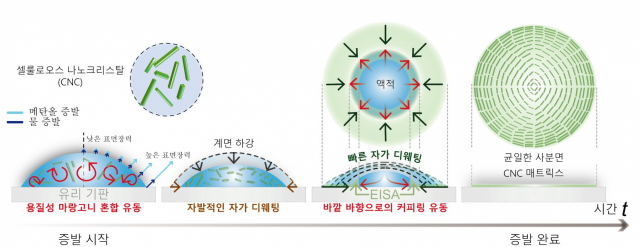 KAIST 공동연구팀이 균일 사분면 셀룰로오스 나노크리스탈 매트릭스 형성을 위해 적용한 유체역학적 원리. 사진제공=KAIST