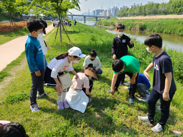 서울 금천구, 환경부 ‘우수 환경교육프로그램’ 2건 선정