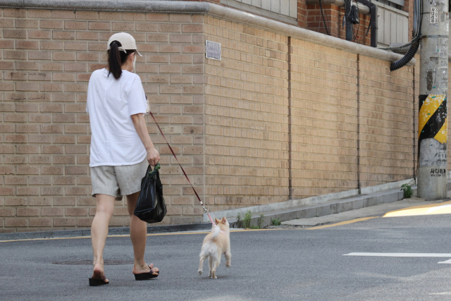 서울 서초구의 주택가에서 시민이 반려견과 걷고 있다. 연합뉴스