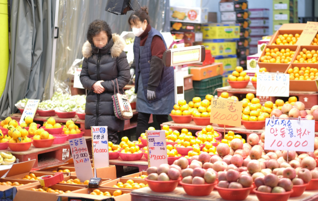 9일 서울 시내의 한 전통시장에서 시민들이 과일을 고르고 있다. 겨울철 대표 과일인 귤 가격이 고공 행진을 이어가고 있다. 제주 도매가격은 조사가 시작된 1997년 이후 가장 높다. 사과·딸기 등의 가격이 급등하면서 상대적으로 저렴한 귤로 수요가 몰리고 있기 때문이다. 연합뉴스