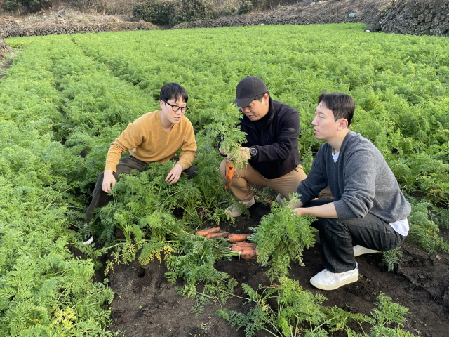 현대그린푸드 바이어와 구좌농협유통센터 직원이 제주도 한 농가에서 당근을 살펴보고 있다. 사진 제공=현대백화점그룹