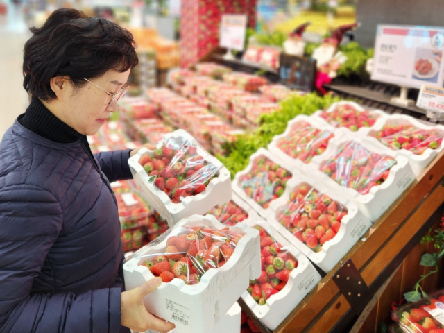 롯데마트 안산점 과일 매장에서 '한입 꼬마 딸기' 상품을 구매하고 있는 고객./사진 제공=롯데마트