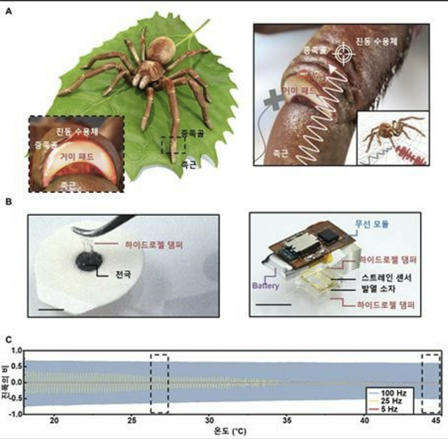 [이달의 과학기술인상] 거미 다리처럼…잡음 없애는 전자소자 개발