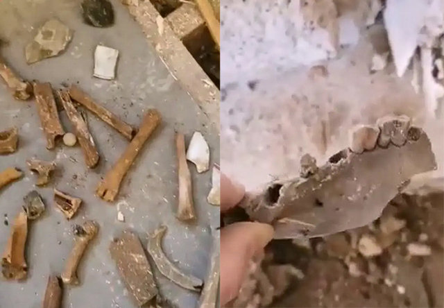 조나단 베츠(36)가 200여년이 넘은 오두막 바닥 아래서 발견한 정체불명의 뼈 무더기. 뉴욕포스트 보도 캡처