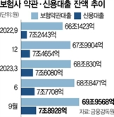 은행 대출 조이기 '풍선효과'…보험사 약관·신용대출 급증