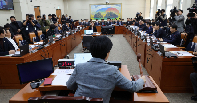 29일 국회 정무위원회에서 백혜련 위원장이 전체회의를 진행하고 있다. 연합뉴스