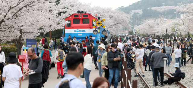 진해군항제를 즐기는 관광객 모습.