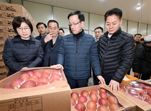 최상목, 사과·배 수급 현장 릴레이 방문…농축산물 할인 100억 추가 지원