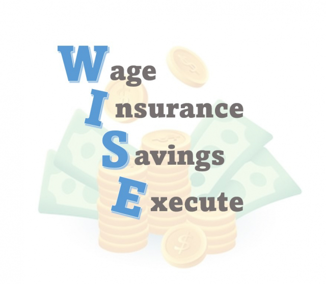 ‘WISE’는 임금(Wage), 보험(Insurance), 저축(Savings), 실행(Execute)을 말한다. / 제작 = 황지온 기자