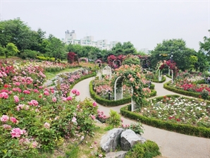 성동구, 자투리 공원에 도시 정원 조성