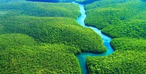 “아마존, 30년 뒤 붕괴할 수도”…브라질 연구진의 경고