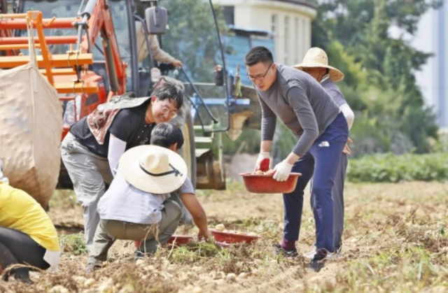 한국 파이브가이즈 제공