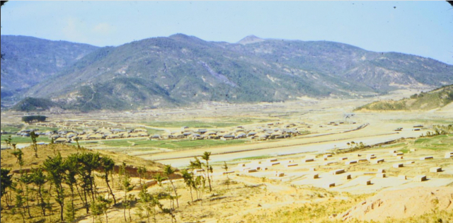 1950년대 부산 해운대 농촌 마을 풍경. 사진 제공=대한민국역사박물관