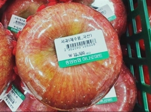 "사과 묶음 아니라 한 개에 만 원"…뜨거워진 과일값, 냉동 '싼 과일'이 식힌다