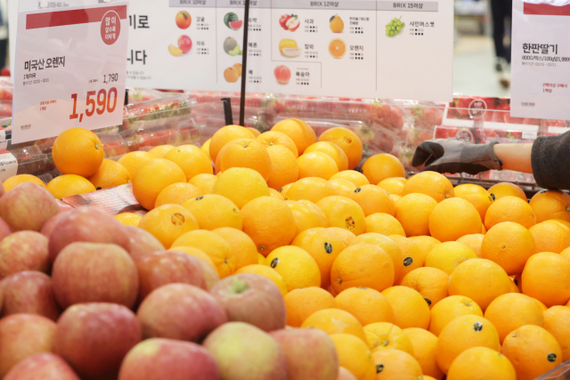 수입 과일 매출이 증가한 18일 서울의 한 대형마트에서 직원이 미국산 오렌지를 진열하고 있다. 연합뉴스