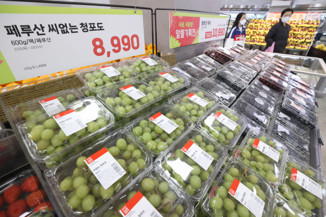 수입 과일 매출이 증가한 이달 18일 서울의 한 대형마트에 과일이 진열되어 있다. 업계는 고물가 여파로 국산 과일 대신 상대적으로 저렴한 수입 과일을 찾는 고객이 늘어난 것으로 분석했다. 연합뉴스