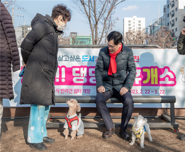 서울 양천구, '어르신의 벗' 지킨다…반려동물 의료비 지원