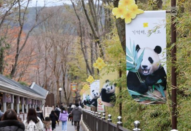 판다월드 가는 길에 푸바오 응원 배너들이 걸려 있다. 사진 제공=에버랜드