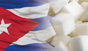 [만파식적] 쿠바 ‘설탕산업부’