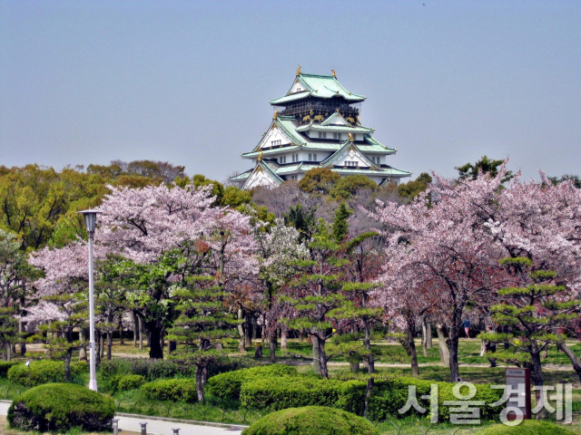 벚꽃이 핀 일본 오사카성의 전경. 사진 제공=하나투어