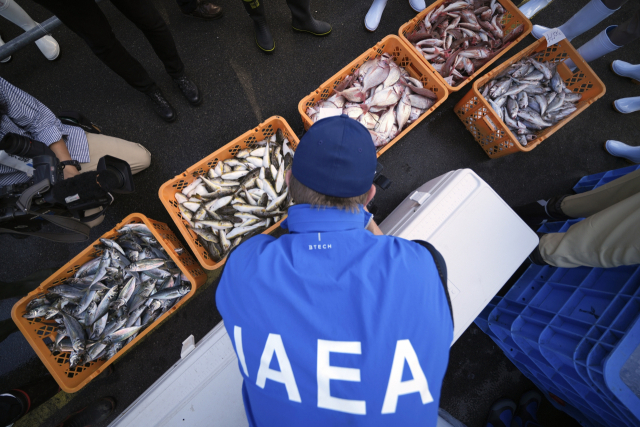 IAEA '후쿠시마 4차방류 삼중수소, 日기준치의 40분의 1 불과'