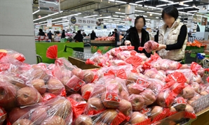 사과·배 가격 폭등에…소비자물가 한달 만에 3%대 재진입