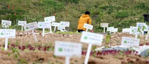 ‘농촌 체류형 쉼터’도 주택서 제외…각종 규제 제외된다