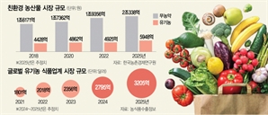 '헬시 플레저' 열풍에…판 커진 친환경 식품