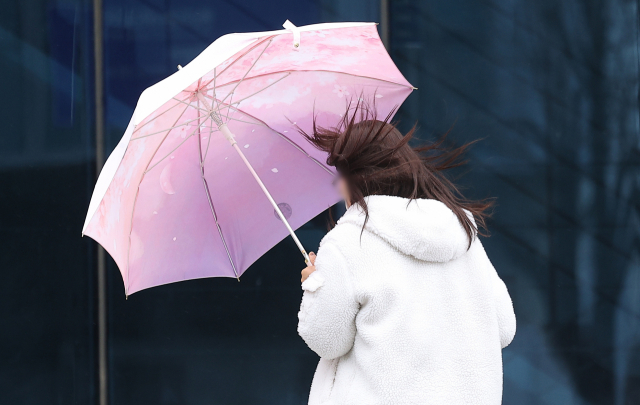 3월 5일 대구 한 대학 캠퍼스에서 한 시민이 우산을 쓰고 이동하고 있다. 연합뉴스