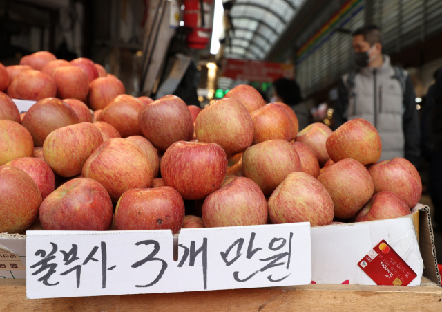 6일 오후 서울 동대문구 청량리청과물시장에서 한 상인이 사과를 팔고 있다. 연합뉴스.