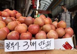 농식품부 '사과 안심 프로젝트' 가동…"이달 중순까지 약제 공급 완료"