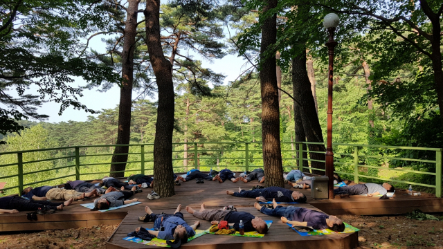 국립대관령자연휴양림에서 숲치유프로그램을 체험하고 있다. 사진제공=국립자연휴양림관리소