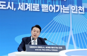 LCC에 유럽·서남亞 노선 개방…인천 '항공산업 빅뱅' 이끈다
