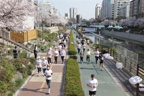 은평구, 2024 불광천 벚꽃 마라톤대회 개최