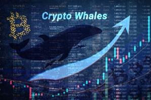 BTC 7만弗 코앞…고래지갑도 늘어