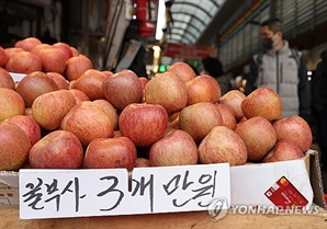 과일 가격 얼마나 올랐기에 자료분석하던 공무원 '충격'에…