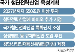 산업부, 3월말 '첨단전략산업 특화단지 지원방안' 발표