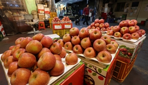 사과값 역대급으로 올랐다…10kg 도매가 사상 첫 9만원 돌파