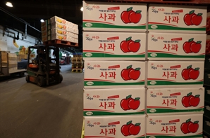 “사과값이 미쳤어요”…10kg 도매가 사상 첫 9만원 돌파