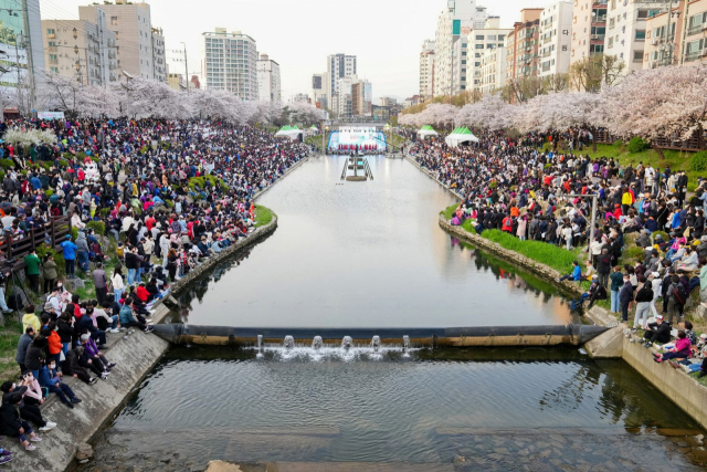 축제 모습. 사진제공=은평구